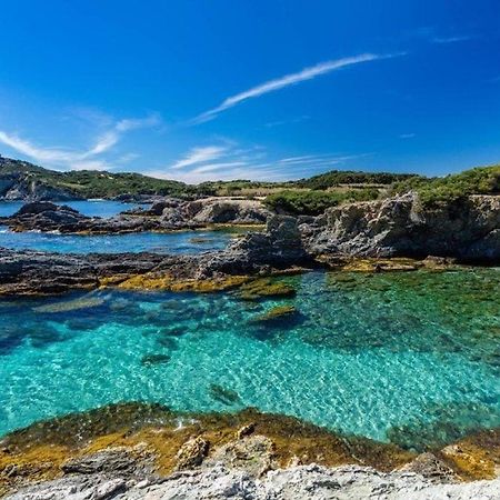 Vacances Ideales Limite Sanary Sur Mer !! Logement Partage Shared Accommodation Ollioules Luaran gambar